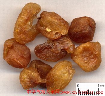治近视的秘方！1000度近视降到只有200度